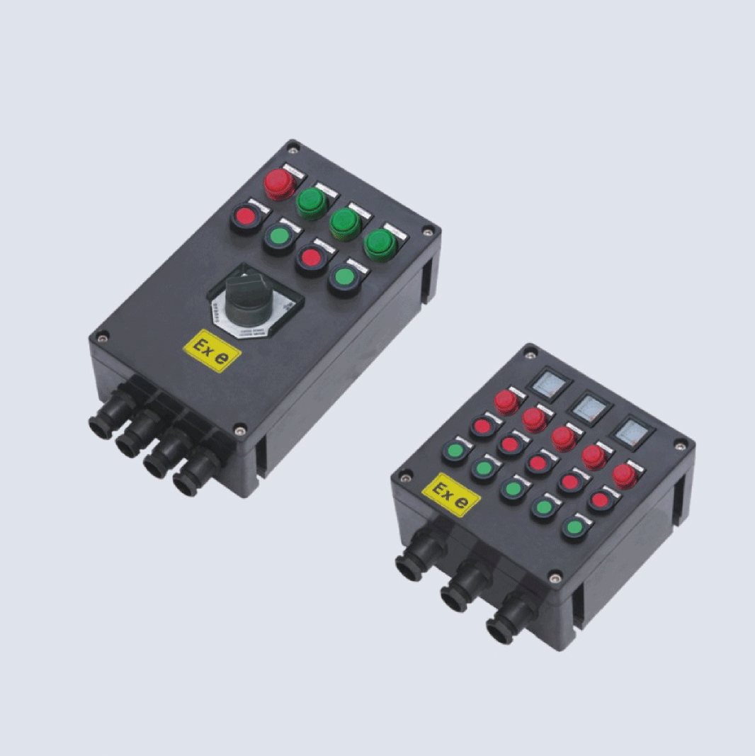 BXK8050-系列防爆防腐控制箱(IIC、 ExtD)